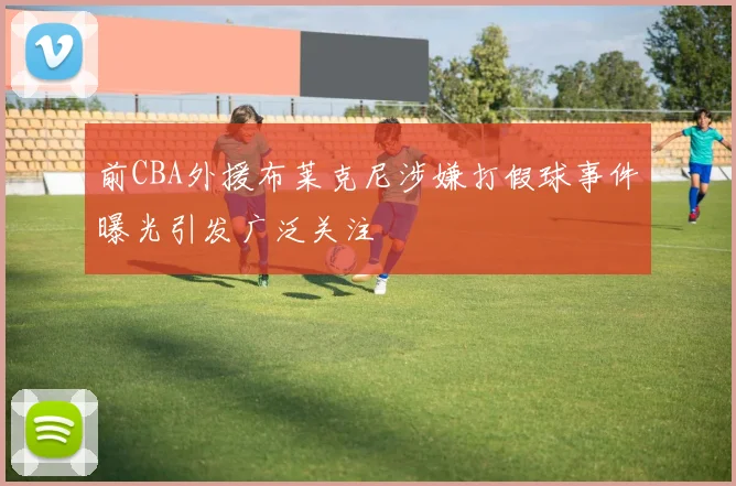 前CBA外援布莱克尼涉嫌打假球事件曝光引发广泛关注