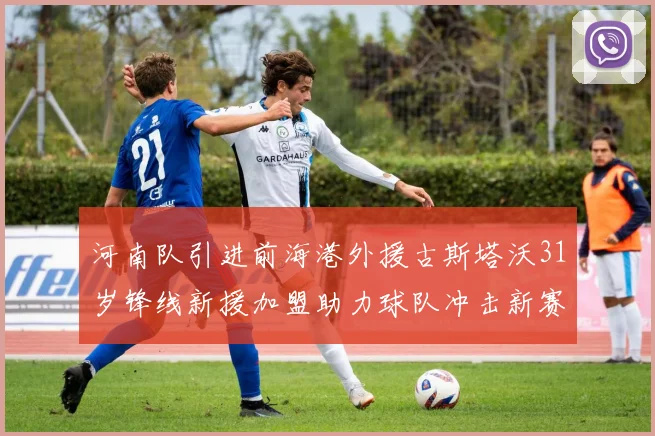 河南队引进前海港外援古斯塔沃31岁锋线新援加盟助力球队冲击新赛季