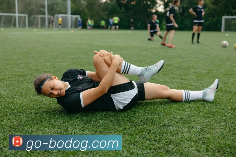 博狗娱乐平台生态图