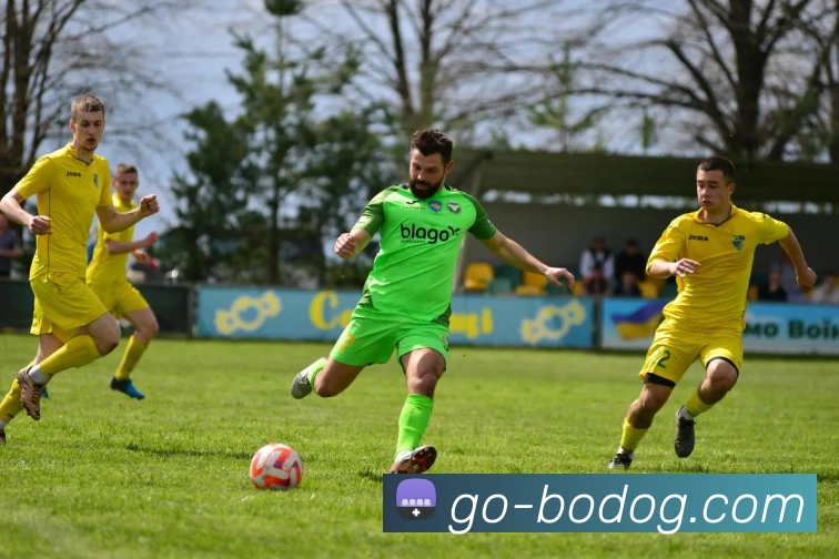 博狗娱乐全站App