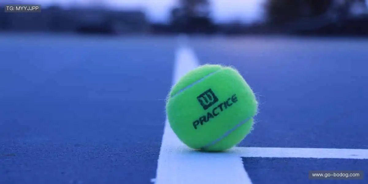 运动装备一站式，品质与颜值并存！🛒🔥